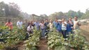 Visita ao Projeto "Plante que a Prefeitura Garante"